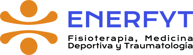 Enerfyt Logo